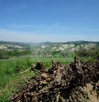 Foto annuncio 47