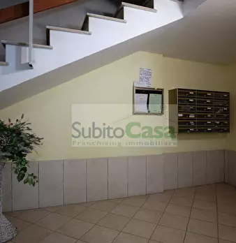 Foto annuncio 35