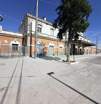 Foto annuncio 14