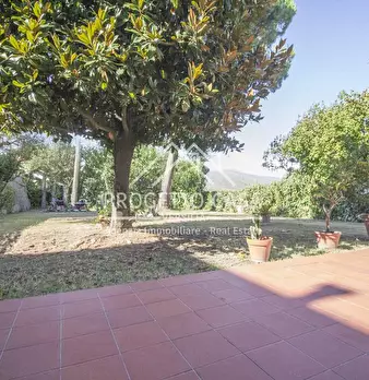 Foto annuncio 34