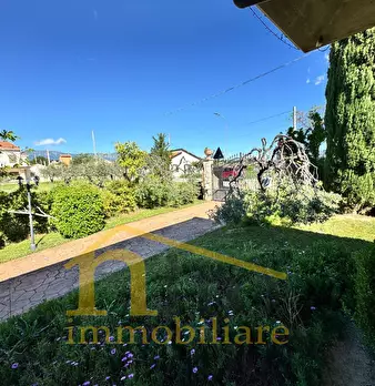 Foto annuncio 49