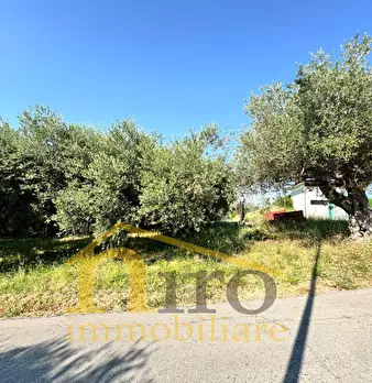 Foto annuncio 2