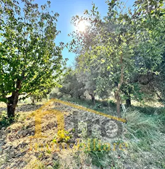 Foto annuncio 7