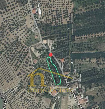 Foto annuncio 9