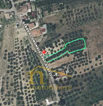 Foto annuncio 10