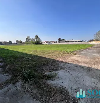 Foto annuncio 18