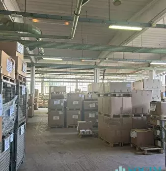 Foto annuncio 12