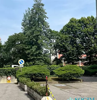 Foto annuncio 34