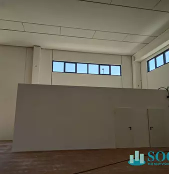 Foto annuncio 6