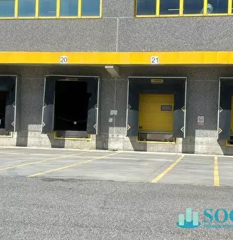 Foto annuncio 6
