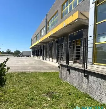 Foto annuncio 5
