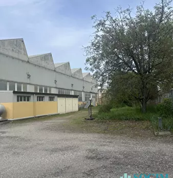 Foto annuncio 3