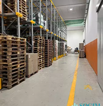 Foto annuncio 8