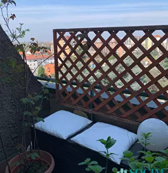 Foto annuncio 6