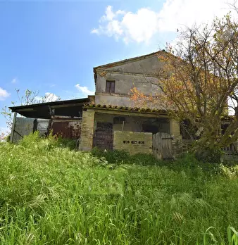 Foto annuncio 7