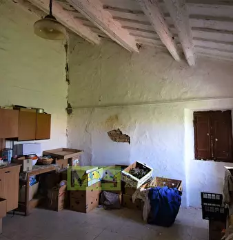 Foto annuncio 25