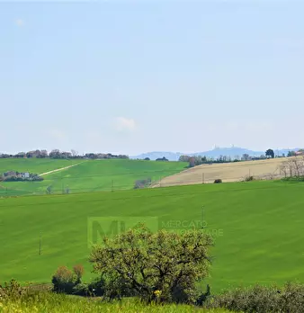 Foto annuncio 36