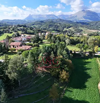 Foto annuncio 44