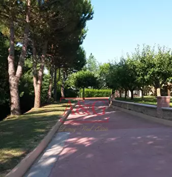 Foto annuncio 8