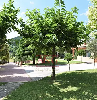 Foto annuncio 13