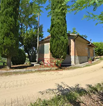 Foto annuncio 4