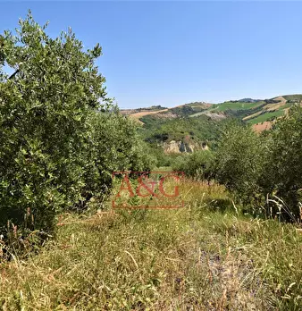 Foto annuncio 27
