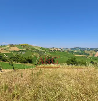 Foto annuncio 29