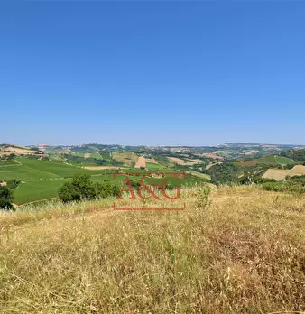 Foto annuncio 30