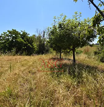 Foto annuncio 31