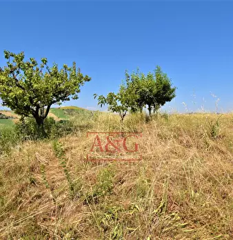 Foto annuncio 32