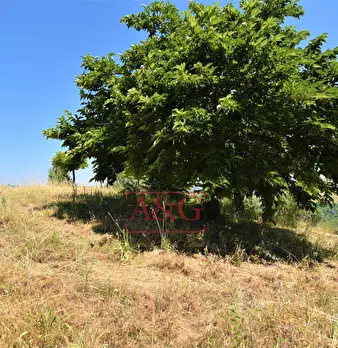 Foto annuncio 33