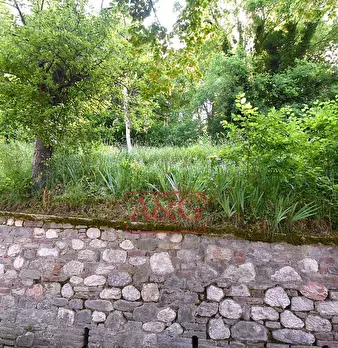 Foto annuncio 34