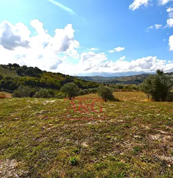 Foto annuncio 6