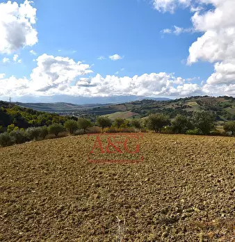 Foto annuncio 10