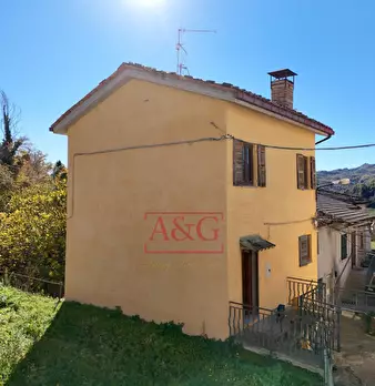 Foto annuncio 7
