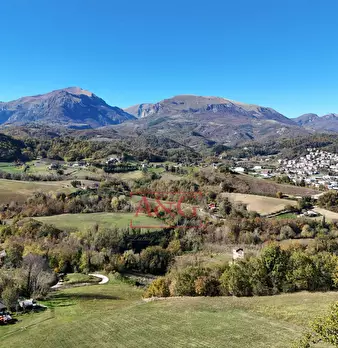 Foto annuncio 28