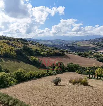Foto annuncio 21