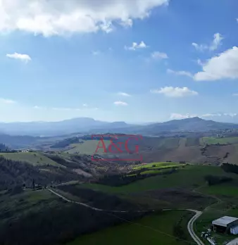 Foto annuncio 14