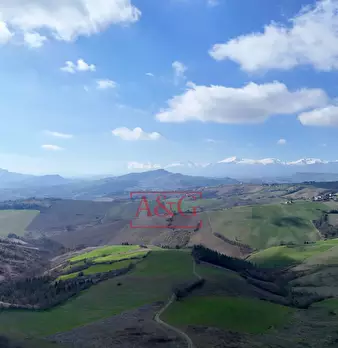 Foto annuncio 17
