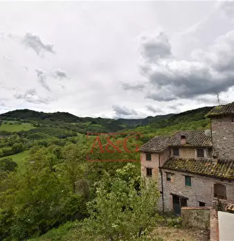 Foto annuncio 63