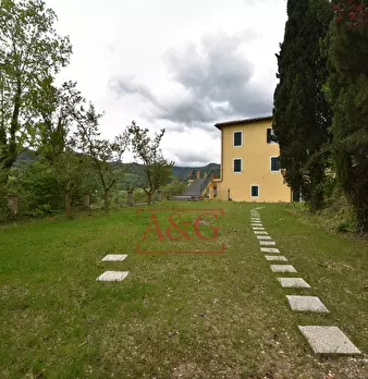 Foto annuncio 67