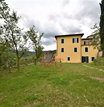 Foto annuncio 69