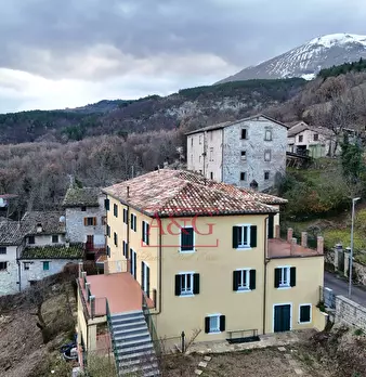 Foto annuncio 5