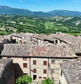 Foto annuncio 28