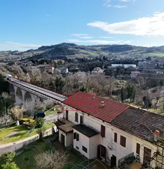 Foto annuncio 61