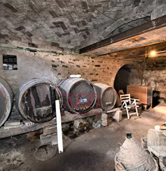 Foto annuncio 39