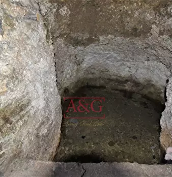 Foto annuncio 43