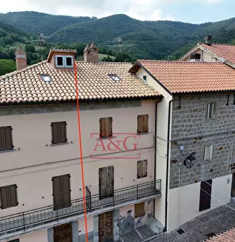 Foto annuncio 47