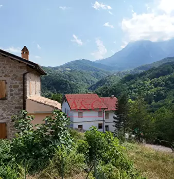Foto annuncio 52
