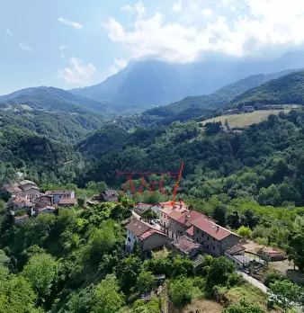 Foto annuncio 53